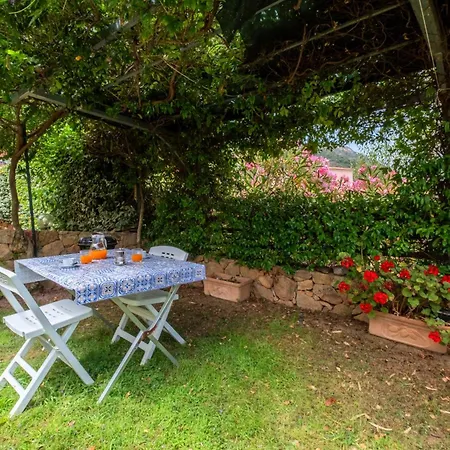 Apartment La Casa In Collina, Al Mare - 6 Minuti Dal Mare - A C - Giardino -bbq
